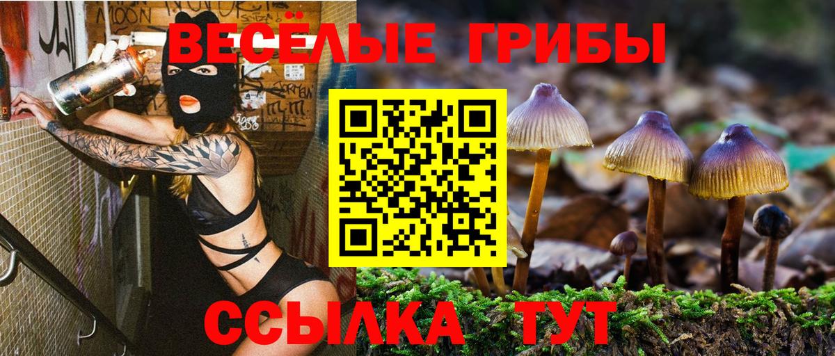Галлюциногенные грибы GOLDEN TEACHER Ханты-Мансийск