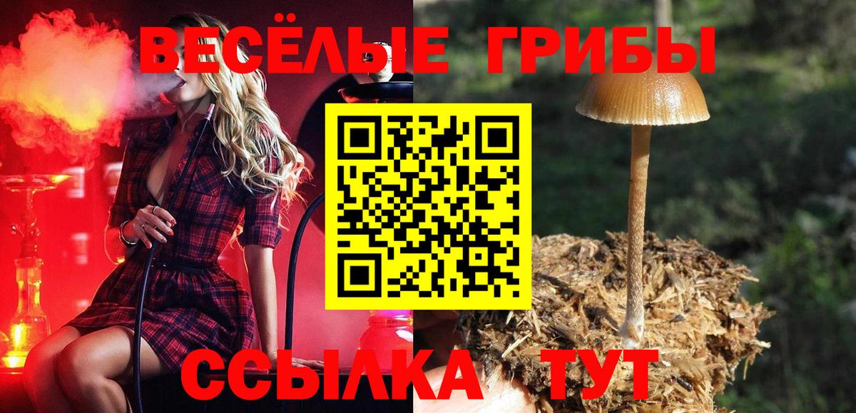 Галлюциногенные грибы мицелий  Галлюциногенные грибы Cubensis  Ханты-Мансийск  Вход с VPN 